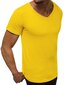 Marškinėliai vyrams Model, geltoni kaina ir informacija | Vyriški marškinėliai | pigu.lt