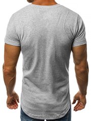 Marškinėliai vyrams Nidol, pilki kaina ir informacija | Vyriški marškinėliai | pigu.lt