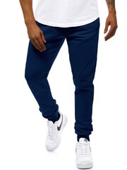 Повседневные брюки для мужчин Sergo, синие цена и информация | Мужские термобрюки, темно-синие, SMA61007 | pigu.lt