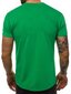 Marškinėliai vyrams Lika, žali kaina ir informacija | Vyriški marškinėliai | pigu.lt
