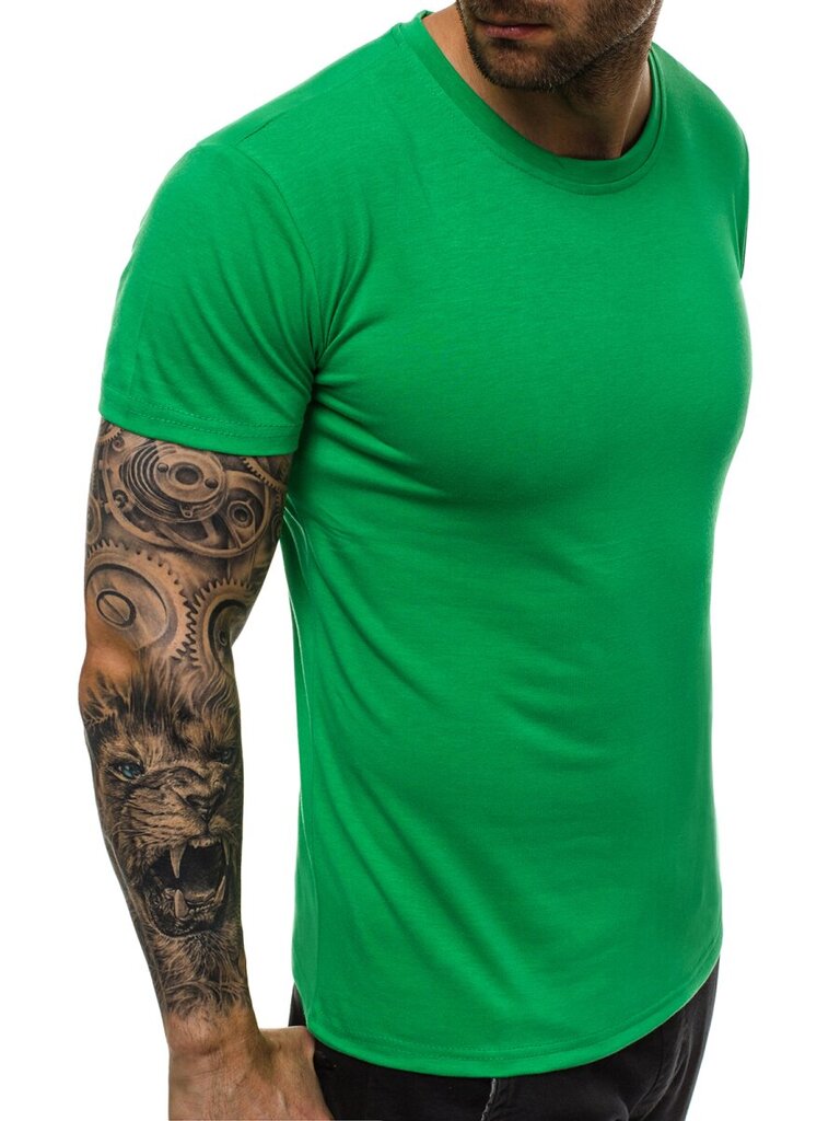 Marškinėliai vyrams Lika, žali kaina ir informacija | Vyriški marškinėliai | pigu.lt