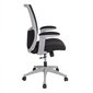 Biuro kėdė Lumina, pilka/juoda kaina ir informacija | Biuro kėdės | pigu.lt