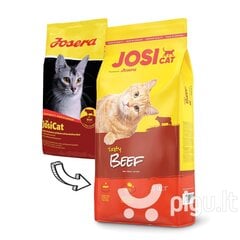 JOSERA JosiCat Tasty Beef suaugusioms katėms 18kg kaina ir informacija | Josera Katėms | pigu.lt