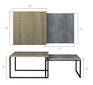2-jų staliukų komplektas NORE Nevio, rudas/pilkas kaina ir informacija | Kavos staliukai | pigu.lt