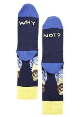 Носки WHY NOT хлопковые, темно-синие цена и информация | Мужские носки | pigu.lt