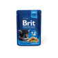 Brit Premium konservai kačiukams maišelyje Chicken Chunks Kitten 100g x 24vnt цена и информация | Konservai katėms | pigu.lt
