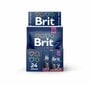 Brit Premium konservai katėms maišelyje Chicken&Turkey 100g x 24vnt kaina ir informacija | Konservai katėms | pigu.lt