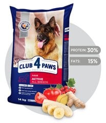 CLUB 4 PAWS Premium pilnavertis sausas maistas suaugusiems aktyviems visų veislių šunims „ACTIVE“, 14kg kaina ir informacija | Sausas maistas šunims | pigu.lt