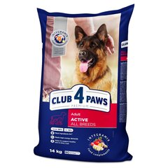 CLUB 4 PAWS Premium полнорационный сухой корм для активных взрослых собак всех пород "ACTIVE", 14 кг цена и информация | Сухой корм для собак | pigu.lt