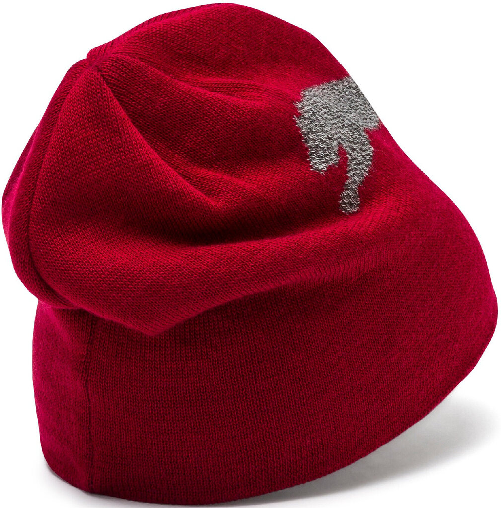 Kepurė Puma Ess Logo Beanie Red цена и информация | Kepurės moterims | pigu.lt