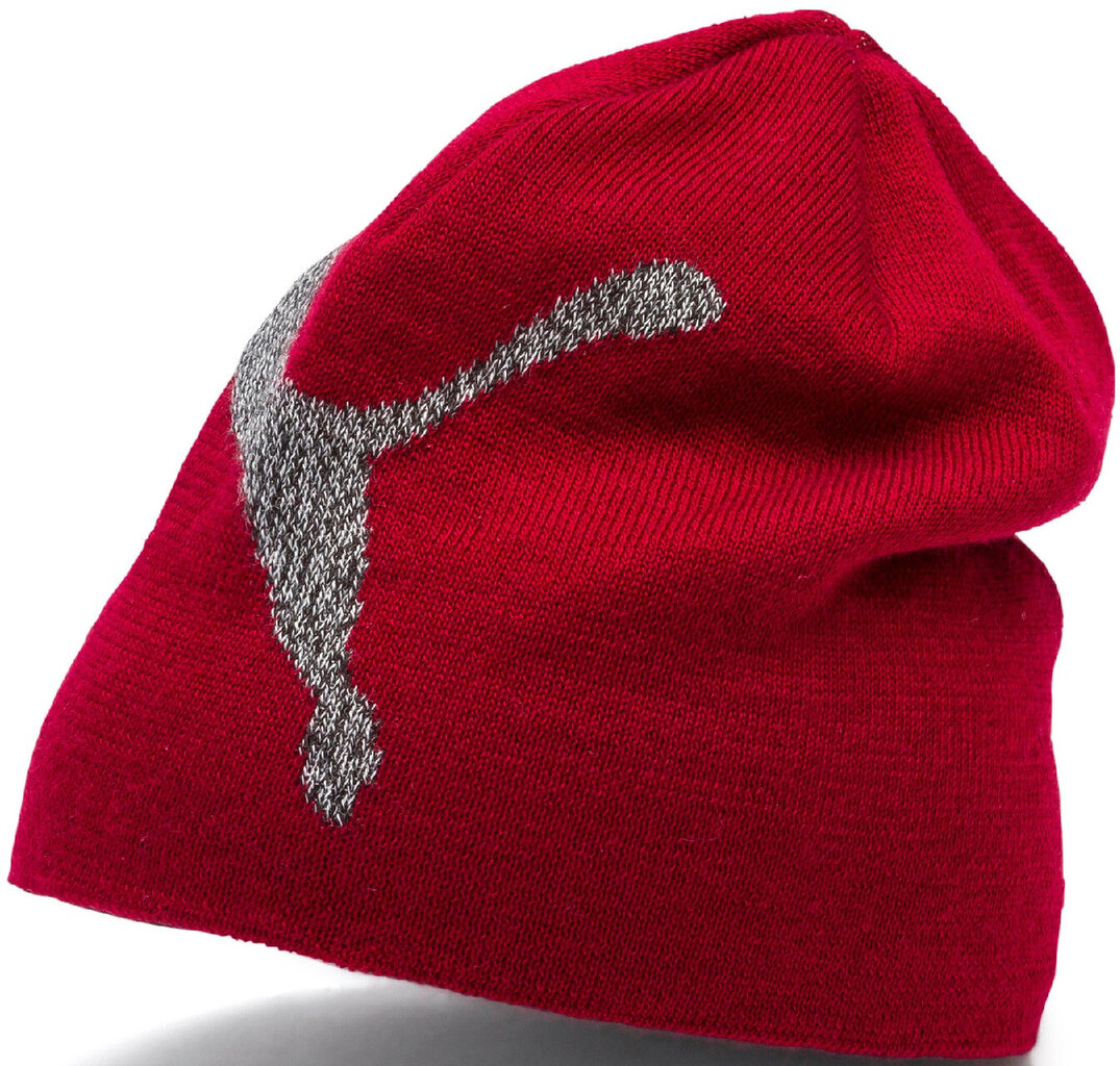 Kepurė Puma Ess Logo Beanie Red цена и информация | Kepurės moterims | pigu.lt