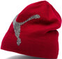 Kepurė Puma Ess Logo Beanie Red цена и информация | Kepurės moterims | pigu.lt