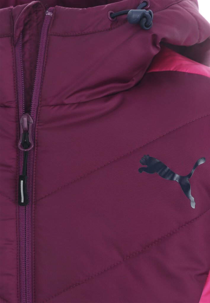 Striukė Puma Active Norway Jacket цена и информация | Striukės moterims | pigu.lt