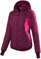 Puma Куртка Active Norway Jacket цена и информация | Puma Женская одежда | pigu.lt