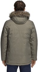 Striukė Adidas Xploric Parka kaina ir informacija | Adidas Vyriški drаbužiai | pigu.lt