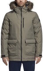 Adidas Куртка Xploric Parka Cargo цена и информация | Мужские куртки | pigu.lt