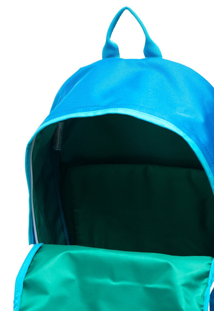 Kuprinė Converse Edc 22 Backpack Blue цена и информация | Kuprinės ir krepšiai | pigu.lt