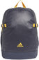 Kuprinė Adidas Ya Backpack Blue цена и информация | Kuprinės ir krepšiai | pigu.lt