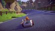 Garfield Kart Furious Racing (PS4) цена и информация | Kompiuteriniai žaidimai | pigu.lt