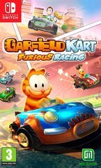 Garfield Kart Furious Racing (Switch) цена и информация | Компьютерные игры | pigu.lt