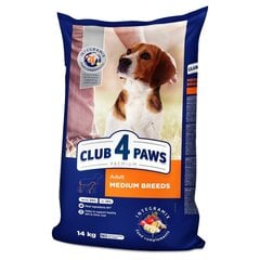 CLUB 4 PAWS Premium полнорационный сухой корм для взрослых собак средних пород , 14 кг цена и информация | Сухой корм для собак | pigu.lt