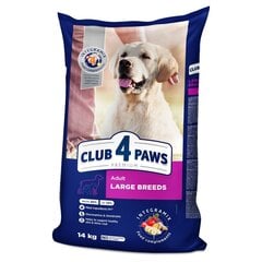 CLUB 4 PAWS Premium pilnavertis sausas ėdalas suaugusiems didelių veislių šunims , 14kg kaina ir informacija | Sausas maistas šunims | pigu.lt