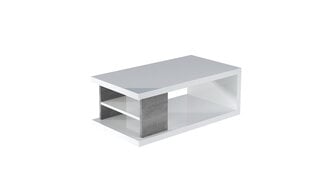 Журнальный столик ADRK Furniture Luke, белый/серый цена и информация | Журнальные столики | pigu.lt