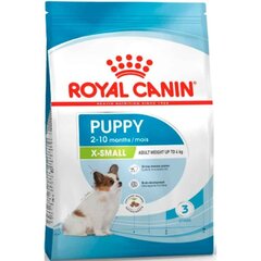 Royal Canin X-Small jauniems mažų veislių šuniukams, 3 kg kaina ir informacija | Sausas maistas šunims | pigu.lt