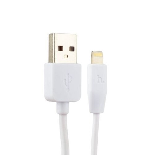 Hoco USB - Lightning, 3 m цена и информация | Kabeliai ir laidai | pigu.lt