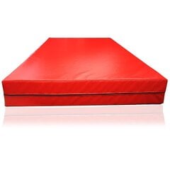 Gimnastikos čiužinys Insportline Morenna T25, 200x120 cm, raudonas kaina ir informacija | Kilimėliai sportui | pigu.lt