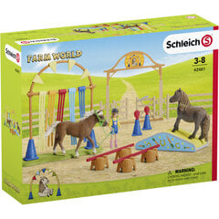 Тренировка пони на выносливость Schleich Farm World цена и информация | Игрушки для девочек | pigu.lt