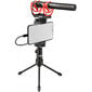 Mikrofonas Rode VideoMic NTG kaina ir informacija | Mikrofonai | pigu.lt