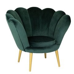 Кресло TMS Tristan, зеленого/золотого цвета цена и информация | Кресла в гостиную | pigu.lt
