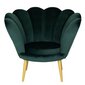 Fotelis TMS Tristan, žalias/aukso spalvos kaina ir informacija | Svetainės foteliai | pigu.lt