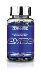 Пищевая добавка Scitec ZMB6, 60 капсул цена и информация | Аминокислоты | pigu.lt