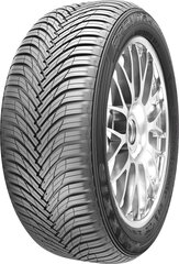 Maxxis AP3 205/70R15 96 H цена и информация | Всесезонная резина | pigu.lt