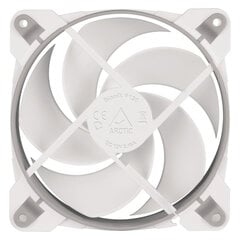 Arctic ACFAN00167A kaina ir informacija | Kompiuterių ventiliatoriai | pigu.lt