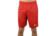 Nike vyriški šortai Park II Knit, raudoni kaina ir informacija | Vyriški šortai | pigu.lt