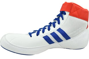 Vyriški kedai Adidas Havoc BD7129 kaina ir informacija | Kedai vyrams | pigu.lt