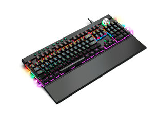 Varr VMKB98 Mechanical Gaming RGB ПК USB клавиатура цена и информация | Клавиатуры | pigu.lt