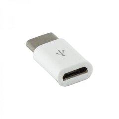 Sbox Micro USB 2.0 F. -&gt; TYPE C M. белый AD.USB-C W цена и информация | Адаптеры, USB-разветвители | pigu.lt