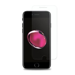 Apsauginis stiklas Woodcessories skirtas iPhone 7/8 Plus цена и информация | Защитные пленки для телефонов | pigu.lt