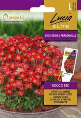 КАМНЕЛОМКА БОЛОТНАЯ ARENSO ROCCO RED „LUCIA ELITE” 30 S цена и информация | Семена цветов | pigu.lt