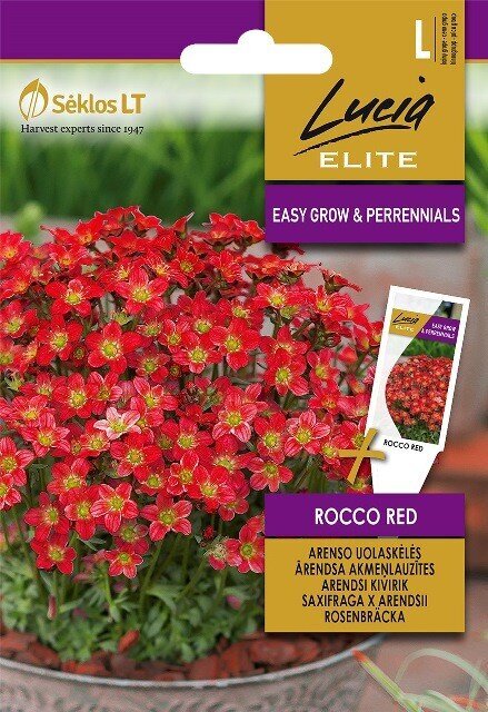 UOLASKĖLĖS ARENSO ROCCO RED „LUCIA ELITE” 30 S цена и информация | Gėlių sėklos | pigu.lt