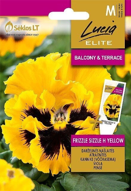 NAŠLAITĖS DARŽELINĖS FRIZZLE SIZZLE H YELLOW „LUCIA ELITE” 25 S цена и информация | Gėlių sėklos | pigu.lt