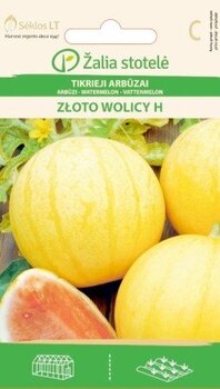 ARBŪZAI TIKRIEJI ZLOTO WOLICY H „ŽALIA STOTELĖ” 0,50 G kaina ir informacija | Daržovių, uogų sėklos | pigu.lt