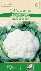 КАПУСТА ЦВЕТНАЯ NECKARPERLE «ŽALIA STOTELĖ» 0,50 Г цена и информация | Семена овощей, ягод | pigu.lt