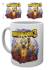 Borderlands 3 kaina ir informacija | Žaidėjų atributika | pigu.lt