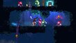 SWITCH Dead Cells Action Game of the Year kaina ir informacija | Kompiuteriniai žaidimai | pigu.lt