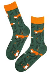 Kojinės Foxy, žalios kaina ir informacija | Vyriškos kojinės | pigu.lt